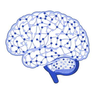 A complex network of synapses forming a web inside the human brain