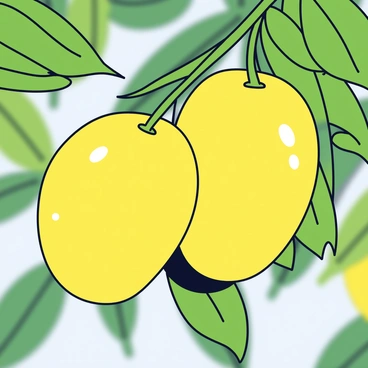 A close-up view of ripe mangoes with a vibrant yellow-orange color. The mangoes are hanging from green branches with glossy leaves. The sunlight casts a gentle glow on the fruit, highlighting their smooth skin and slight sheen. The background features blurred, lush foliage to enhance the focus on the mangoes.