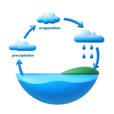 An illustrated diagram of the water cycle showing evaporation, condensation, and precipitation functions