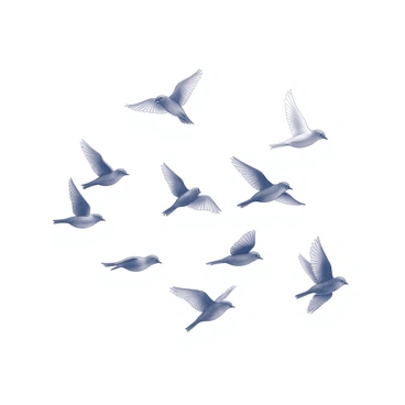 A flock of finches in mid-flight, their wings extended as they navigate through the air. Each bird is distinct in size and shape, showcasing the variety within the group. The clear sky serves as a backdrop, emphasizing the birds' movements and the patterns formed as they soar together. The sunlight highlights their feathers, creating a lively scene of nature in motion.