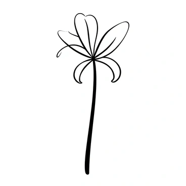 A minimalist greeting card with a simple line drawing of a "spider lily" centered on the front. The flower has elongated, curving petals that radiate outwards, with delicate, slender stems supporting it. The background is plain, emphasizing the intricate details of the line drawing, while the overall composition maintains a clean and uncluttered look. The card is blank inside, ready for a personal message.