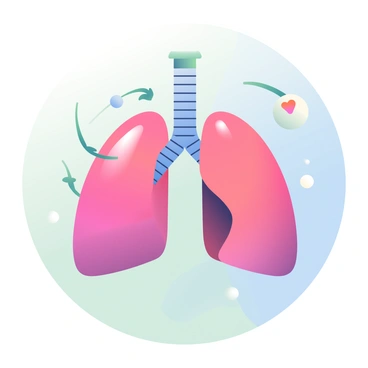 An illustration of two lungs in the center of the image, one lung is expanding while the other is contracting, demonstrating the process of inflation and deflation. The lungs are depicted in a vibrant color palette, with shades of pink and purple. Arrows indicating airflow are shown entering the lungs during inflation and exiting during deflation. Surrounding the lungs are small bubbles representing oxygen moving into the bloodstream, and darker bubbles representing carbon dioxide being expelled. The background is a soft gradient that transitions from light blue at the top to pale green at the bottom, creating a sense of depth and movement.