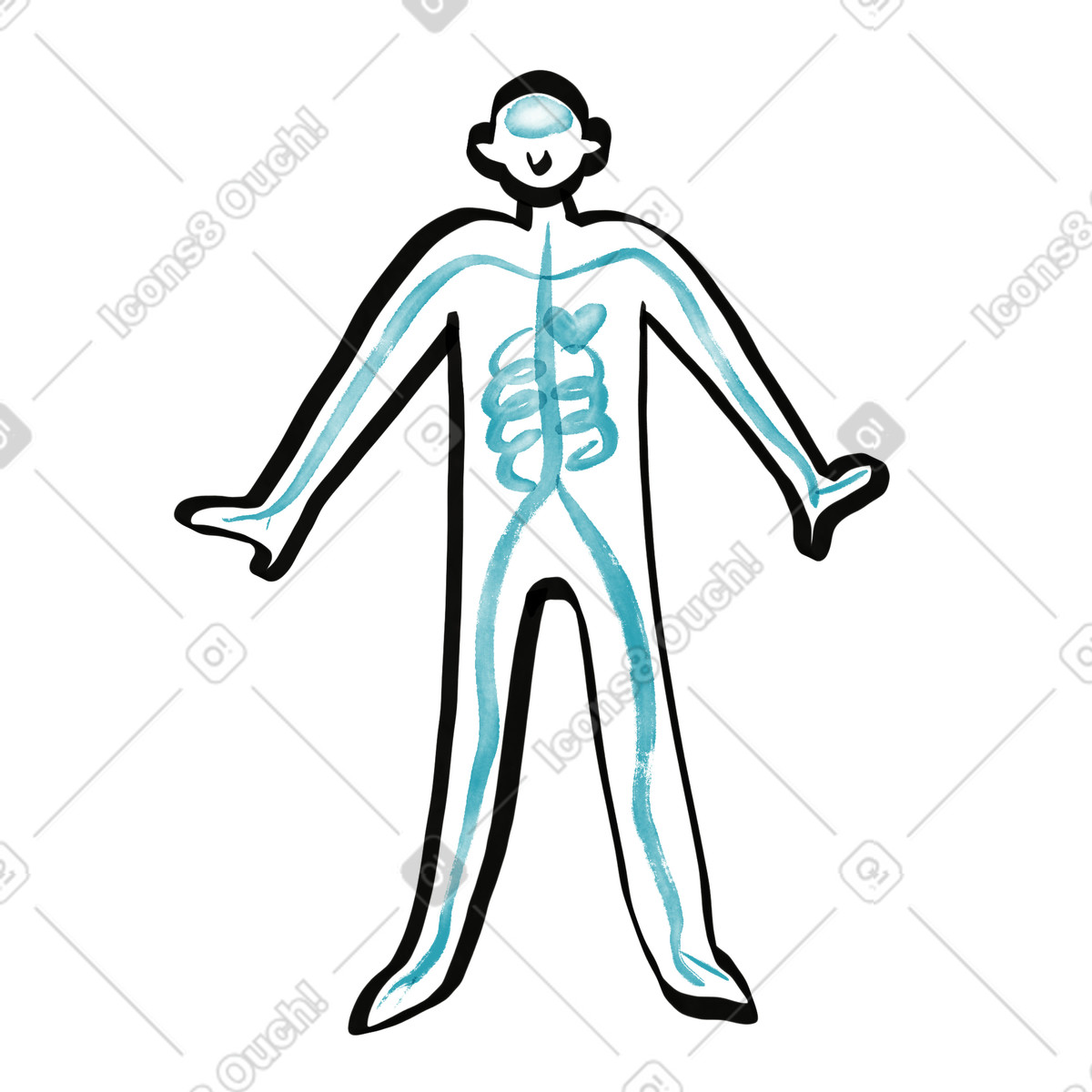 Circulatory system diagram highlighting heart and blood vessels pathways illustrazione in stile Watercolor sketch scarica in PNG, SVG