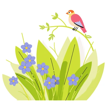 Aster