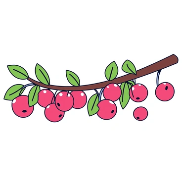 A thick branch extending horizontally, laden with clusters of ripe, glossy red fruits. The fruits are round and plump, hanging from the branch, showcasing their vibrant color. Some fruits are partially obscured by green leaves that provide a rich contrast. The branch appears slightly bent under the weight of the fruit, suggesting the potential for falling. A couple of fruits are shown at the edge of the branch, closer to the ground.