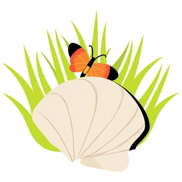 A conch shell with a smooth, spiraled surface is positioned prominently in the center of the image. A colorful butterfly with vibrant orange and black wings is perched delicately on top of the conch shell. The background features lush green grass, with blades varying in height, creating a natural setting. Sunlight casts soft shadows, enhancing the details of the shell and the butterfly's wings.