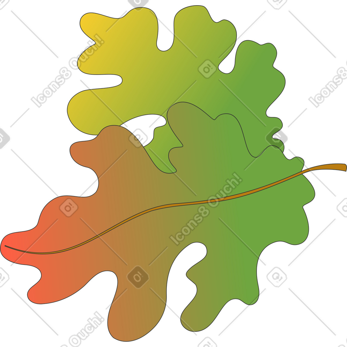 下载 Kit 风格的 橡树叶 插画，支持 PNG、SVG 格式