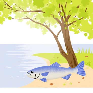 A barramundi fish with shimmering silver scales rests near a riverbank. The fish is positioned on a sandy bottom, partially submerged in the clear water. A large leafy tree with green foliage provides shade over the area. Sunlight filters through the leaves, creating dappled patterns on the ground. Gentle ripples in the water reflect the tree's branches and surrounding greenery. Small pebbles and patches of grass can be seen along the riverbank, adding to the tranquil setting.