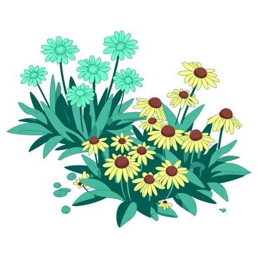 A teal patch of echinacea flowers is blooming vibrantly in the spring sun. The flowers are fully open, displaying their bright and colorful petals, surrounded by bright green leaves. In contrast, a yellow group of echinacea flowers is wilting in the autumn breeze. The petals are drooping, and some have turned brown, while the leaves are fading to a duller shade. The scene captures the transition from lively spring blooms to the quiet, fading beauty of autumn.