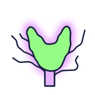 A close-up view of the thyroid gland is displayed, showcasing its distinct shape and texture. The gland is located in the neck, just below the Adam's apple. It appears slightly lobed with a smooth surface. The outline of the gland has a glowing effect that highlights its structure. Surrounding the gland, there are thin lines representing blood vessels. The background is simple, allowing the focus to remain on the detail of the thyroid gland and its illuminated outline.