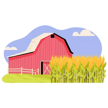 An old barn with weathered wooden planks and a red paint peeling off sits at the edge of a sprawling cornfield. The barn features a large, arched door and a small loft window. Tall stalks of golden corn stretch towards the blue sky, creating a vibrant contrast with the barn. A wooden fence runs alongside the cornfield, and a few fluffy white clouds drift lazily overhead. Sunlight casts warm shadows on the ground, illuminating the rustic charm of the scene.
