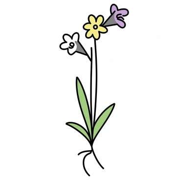 A freesia plant, showcasing its intricate structure. The image features the roots, which are thin and fibrous, spreading out beneath the soil. The stems are slender and upright, with smooth surfaces and a slight curvature. Brightly colored flowers bloom along the stems, their petals delicately arranged in a trumpet shape, displaying shades of yellow, white, and purple. Each flower has a central throat that is slightly darker, inviting the viewer's attention. The leaves are long and narrow, growing from the base of the plant, with a vibrant green color and a slight sheen.