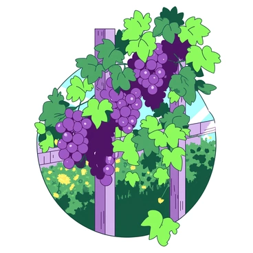 A green vine is climbing up a wooden trellis, adorned with clusters of deep purple grapes. The grapes are plump and glossy, with sunlight glinting off their surfaces. The vine has rich green leaves that are vibrant and healthy, adding to the overall sense of abundance. In the background, a soft-focus garden can be seen, with hints of yellow flowers blooming among the greenery, creating an atmosphere of growth and connection.