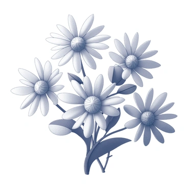 Aster