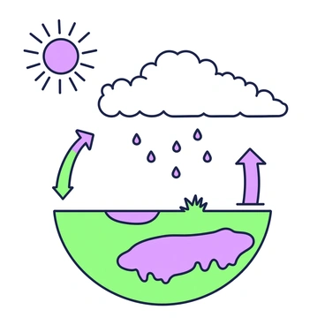 A scientific illustration depicting the water cycle. In the upper section, there are fluffy clouds scattered across the sky. Below the clouds, raindrops are falling towards the ground. A sun icon is positioned to the side, radiating lines to indicate warmth. On the ground, there are patches of grass and small puddles forming. An arrow points upward from the puddles to represent evaporation, while another arrow connects the clouds to the ground, indicating precipitation.