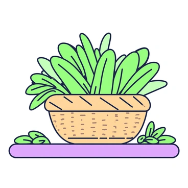 Sage