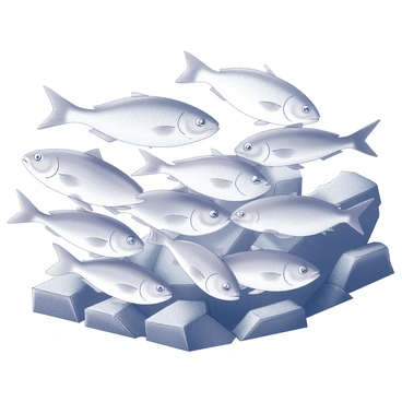 A large school of fish is swimming in synchronized patterns. The fish are arranged in various sizes, creating dynamic shapes as they move together. They are surrounded by rocky formations that provide texture and structure to the underwater environment. The surface of the rocks is uneven, with crevices and ledges that the fish navigate closely. The scene captures the fluid motion of the fish as they weave in and out among the rocks, reflecting their coordinated movement.