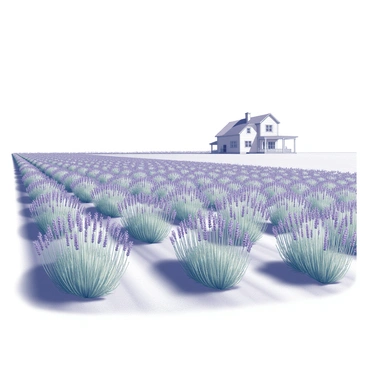Endless rows of lavender plants extending across the landscape, each plant featuring slender green stems and vibrant purple blooms. The rows are neatly aligned, creating a sense of depth and perspective as they lead towards the horizon. In the distance, a farmhouse stands prominently, constructed with simple lines and a gabled roof. The farmhouse has a front porch with a couple of visible windows, offering a glimpse of rural life. The sky above is open and expansive, enhancing the serene atmosphere of the countryside scene.