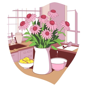 A white vase filled with freshly cut echinacea flowers in vibrant shades is placed on a wooden kitchen table. The echinacea flowers are in full bloom, showcasing their distinct cone-shaped centers and petal arrangement. Sunlight streams through a nearby window, casting soft shadows on the table and illuminating the colors of the flowers. The kitchen has simple decor, with classic utensils and a bowl of fresh fruits visible in the background.