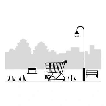 An empty shopping cart emerging through a morning mist in a city park