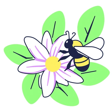 A bee pollinating a coffee cherry flower close-up