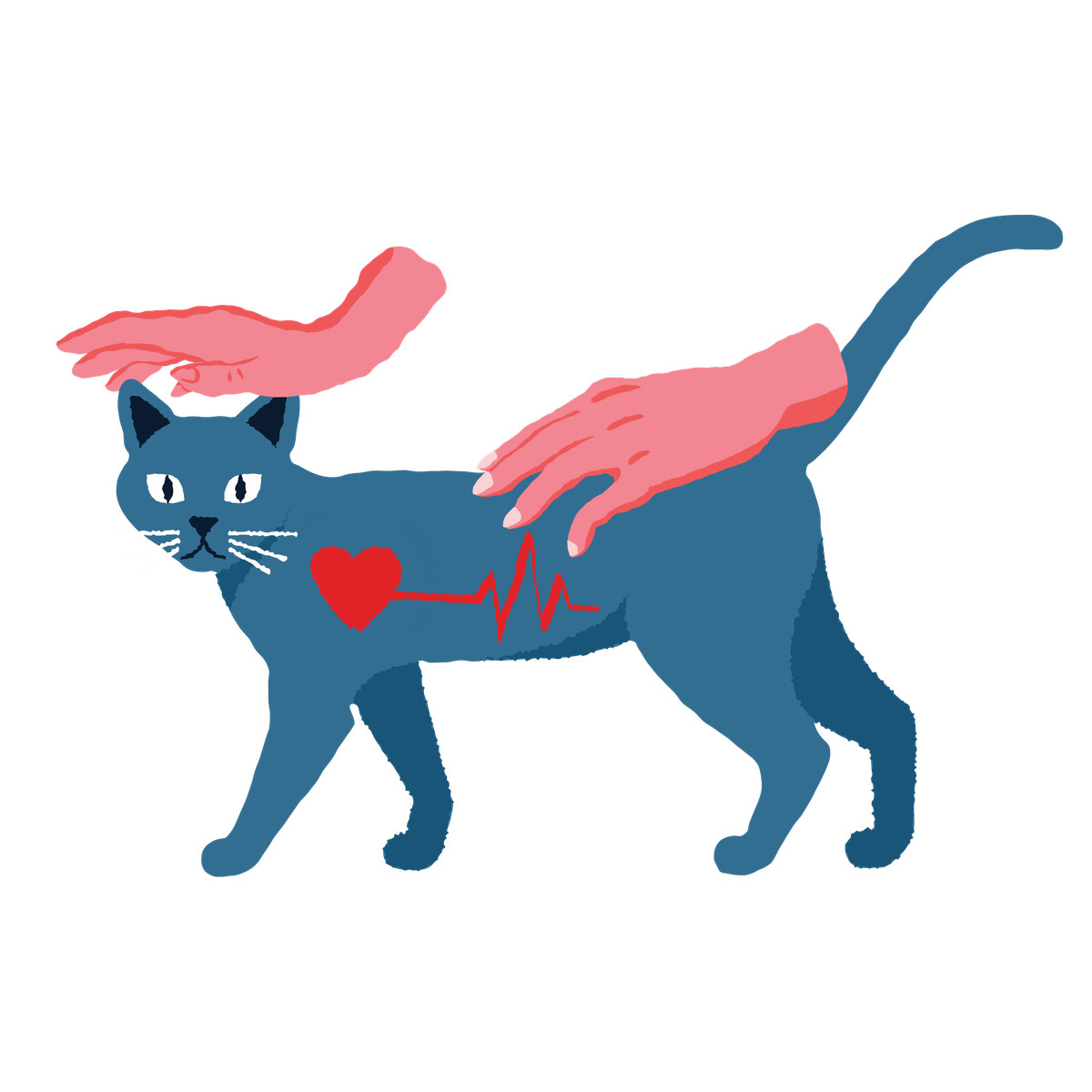 Ilustração de Hands petting and checking cat's heart rate em no estilo Cherry para baixar em PNG, SVG