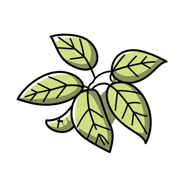 A cluster of green leaves with intricate veins and textures, illuminated by bright sunlight. The leaves are varying in size and shape, showcasing their natural patterns. The sunlight casts delicate shadows on the surface, highlighting the details of the leaves' surfaces and the connection between them.