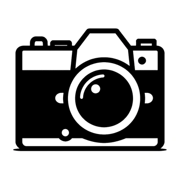 An icon of a camera with a flash symbol located to the right of it.