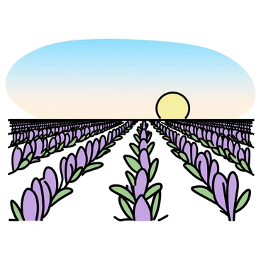 Endless rows of "fragrant lavender" plants with vibrant purple flowers stretching towards the horizon. Each row consists of neatly aligned, green leaves surrounding the blooming lavender. The sky above is clear with a subtle gradient from blue to soft orange as the sun sets in the distance, casting a warm glow over the expansive field. A gentle breeze causes some of the lavender stems to sway slightly, adding movement to the scene.