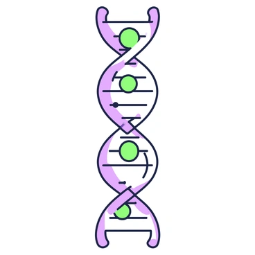 A scientific illustration showing the double helix structure of DNA. The DNA is composed of two spiraling strands that twist around each other. Each strand features a backbone made of alternating sugar and phosphate groups. Across the two strands, pairs of nitrogenous bases are connected by hydrogen bonds. The bases include adenine, thymine, cytosine, and guanine, represented as distinct shapes at the center of the helix, with hydrogen bonds depicted as dashed lines between the base pairs. The overall structure is set against a plain background, emphasizing the intricate connections of the DNA molecule.