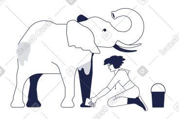 Caring woman washing an elephant PNG, SVG