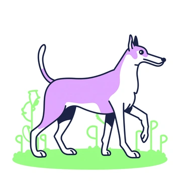 A borzoi standing gracefully on a grassy field. The dog has a long, slender body with a flowing coat. Its head is held high, showcasing an elongated snout and bright eyes. The borzoi's legs are long and strong, positioned confidently on the ground. A faint outline of trees is visible in the background, adding depth to the scene. The overall composition emphasizes the elegance and poise of the borzoi.