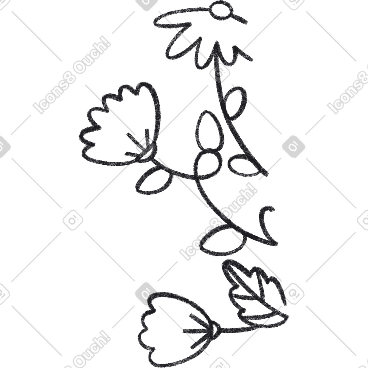 Ilustração de Three wildflowers em no estilo Bonbon Line para baixar em PNG, SVG
