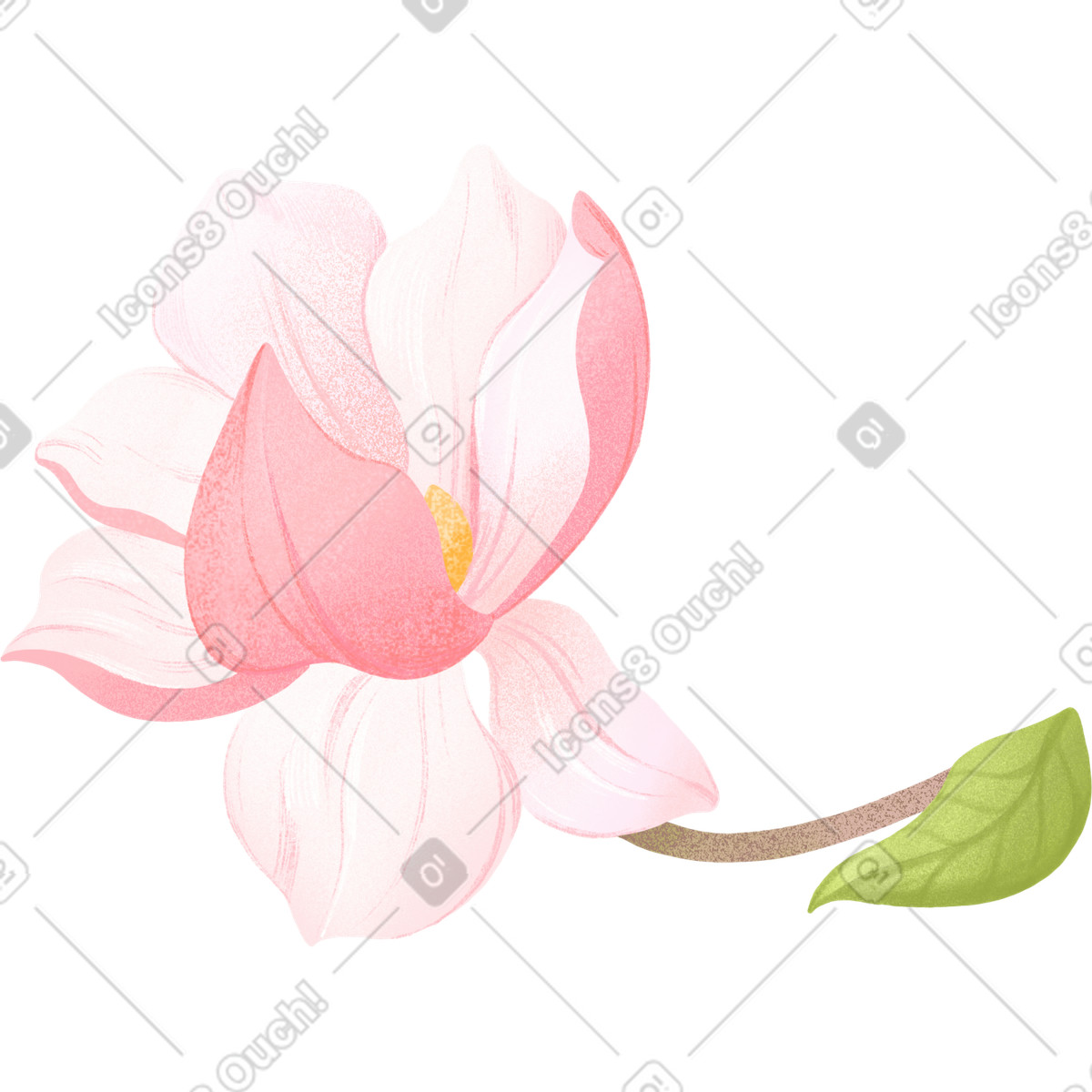Twig with large magnolia flower illustrazione in stile Floral scarica in PNG, SVG