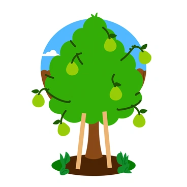 A green pear tree with lush leaves is standing in a backyard. The tree is supported by wooden stakes that are tied with soft ropes to encourage healthy growth. The tree has several small green pears beginning to develop on its branches. The ground around the base of the tree is covered with fresh, dark soil and a few patches of grass. In the background, there are hints of a wooden fence and a vibrant blue sky above.