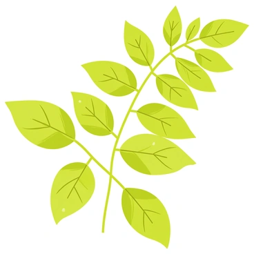 A detailed illustration of tamarind leaves with multiple feathery leaflets arranged along a central stem. The leaves exhibit a rich green color with varying shades, highlighting their delicate texture. Some leaves are in focus, showing fine veins, while others are slightly blurred in the background, creating depth. Small droplets of water can be seen on the leaves, adding a fresh, vibrant look to the scene.