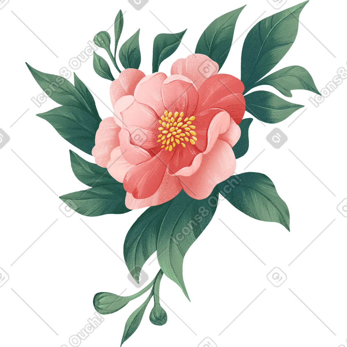 Large opened flower of a dark pink wild rose among green leaves illustration in Floral style download in PNG, SVG