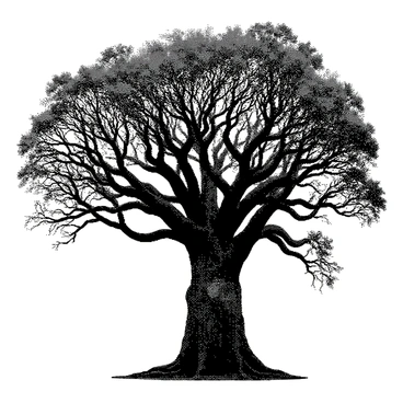 A massive ancient tree stands tall with an intricate network of twisting branches reaching outward. Its roots are thick and gnarled, extending deep into the ground. The bark of the tree is rugged and textured, showcasing the passage of time. The canopy is dense, with leaves that create a complex pattern against the sky. The overall structure of the tree conveys a sense of strength and endurance, embodying the essence of nature's resilience.