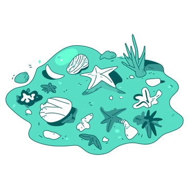 A teal sandy surface is scattered with a variety of shells in different shapes and sizes. There are seashells, starfish, and coral fragments arranged in an intricate pattern, creating a vibrant design. Small droplets of water glisten on some of the shells, reflecting the sunlight above. The shells display a mix of textures, some smooth and shiny while others are rough and matte.