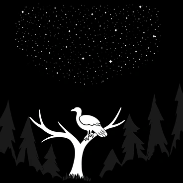 A turkey vulture perched on a branch, its wings folded neatly against its body. The branch is surrounded by tall, dark silhouettes of trees, creating a dense forest atmosphere. Above, a vast expanse of the night sky is filled with numerous stars, twinkling brightly against the black backdrop. The canopy of leaves casts intricate shadows on the forest floor below. The scene conveys a sense of tranquility as the vulture remains still, isolated in the quiet of the night.