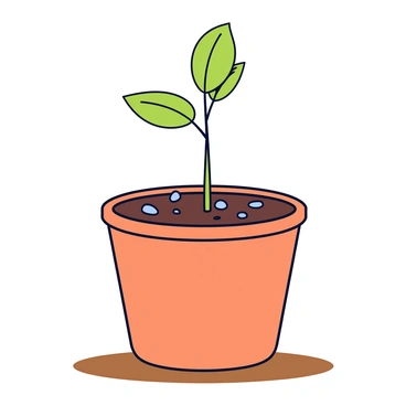 A small mango seedling growing in a round terracotta pot. The seedling has a slender stem that emerges from the soil, and there are tiny green leaves sprouting from the top. The pot is placed on a wooden surface, and the soil has small pebbles scattered on top for decoration. Soft light highlights the leaves, making them appear vibrant.