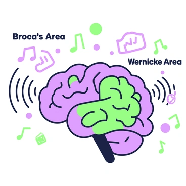 An illustration of the brain highlighting specific areas involved in language processing. The brain is depicted from a lateral view, with distinct sections labeled with the text "Broca's Area" and "Wernicke's Area". Sound waves are emanating from the brain, illustrated as curved lines radiating outward. Each sound wave contains small icons representing speech and written words. The background features subtle outlines of additional brain structures, emphasizing the focus on the language areas.