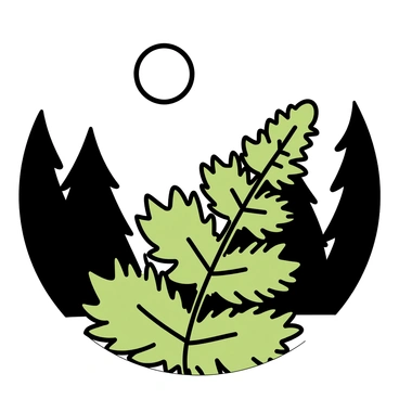 A green fern with intricate, feathery leaves is illuminated by soft moonlight. The fern is positioned in the foreground, showcasing its delicate structure and texture. The background features dark silhouettes of trees, creating a contrast against the light coming from the moon above. The scene captures the peaceful atmosphere of the night, with gentle shadows adding depth to the composition.
