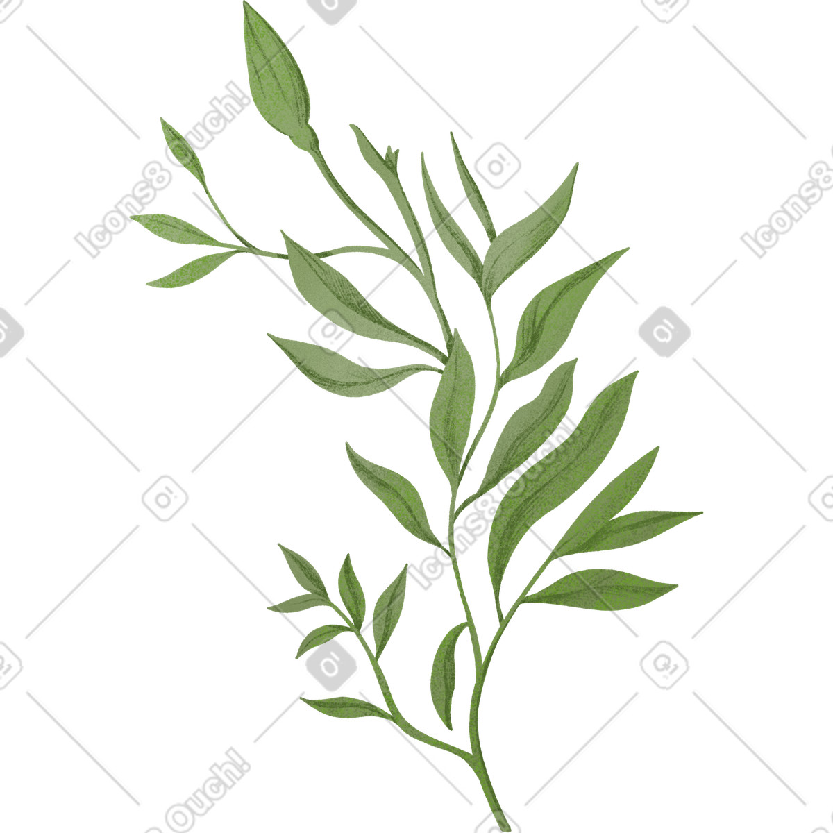 Large green branch with leaves and a bud illustration in Floral style download in PNG, SVG