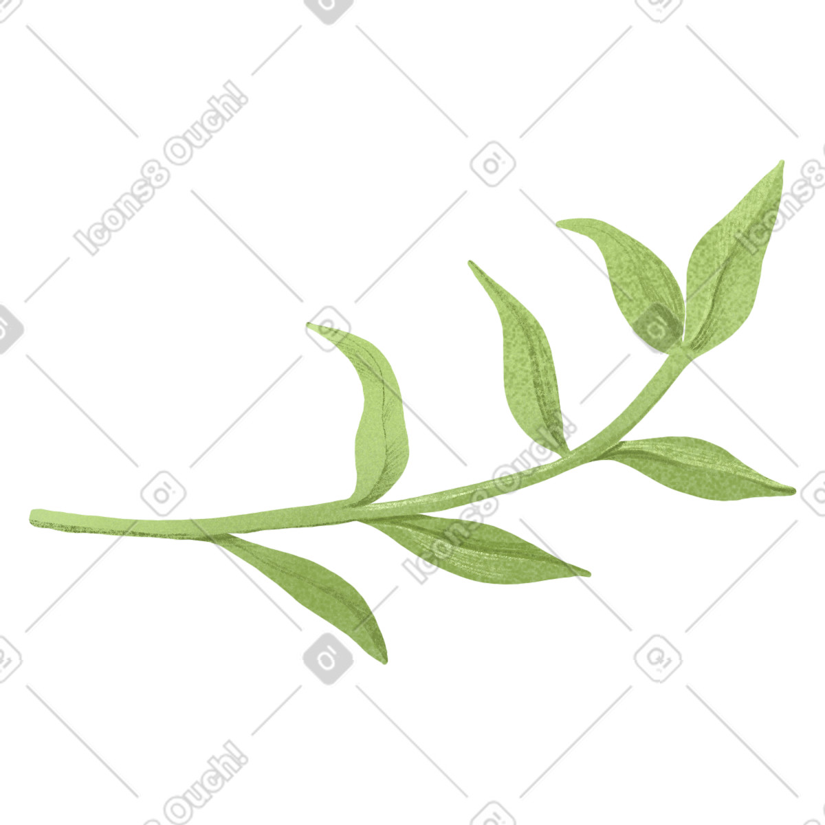 Green twig with curved leaves illustration in Floral style download in PNG, SVG