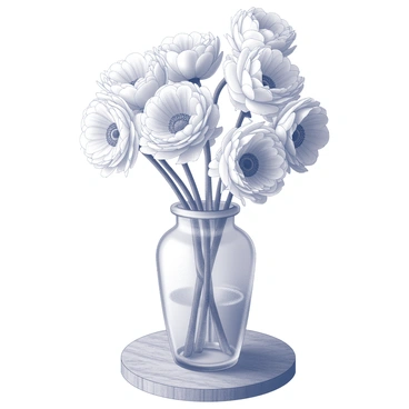 Ranunculus
