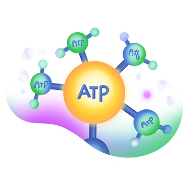 A modern pastel illustration depicting a family of ATP molecules, each varying in size and brightness. The largest ATP molecule is in the center, glowing brightly in a vibrant yellow hue. Surrounding it are smaller ATP molecules in shades of green and blue, each with a softer glow. They are arranged in a circular formation, showcasing their different sizes and brightness levels. The background includes subtle patterns to enhance the visual depth without overwhelming the main focus on the ATP molecules.