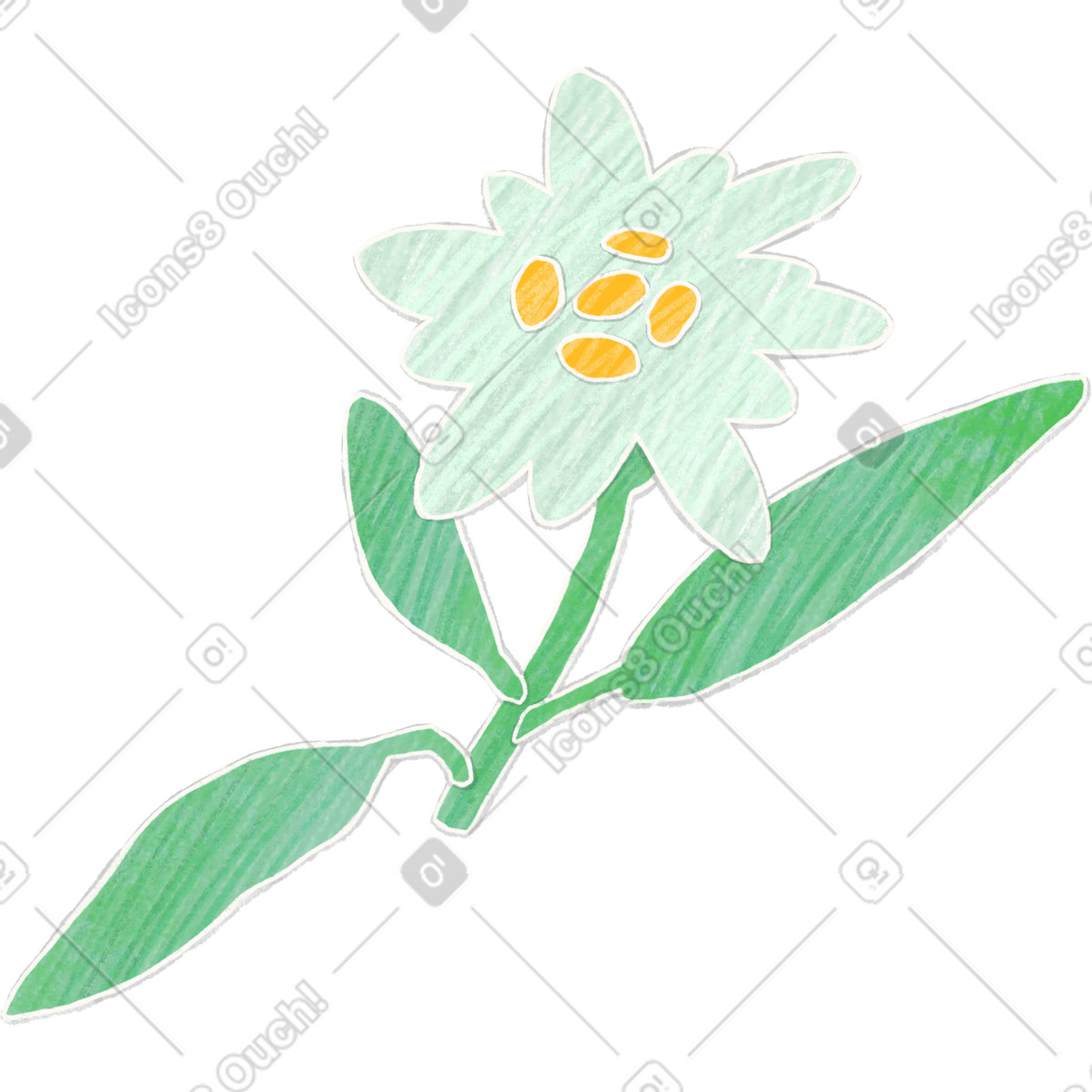 Small edelweiss flower-Illustration im Crafty-Stil als Download in PNG, SVG