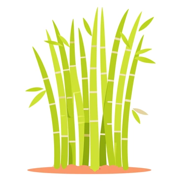 The smooth and segmented texture of bamboo stalks in a dense cluster