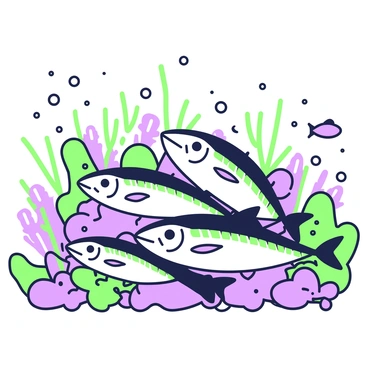 Sardine